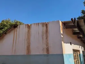 PXL_20240618_075511521